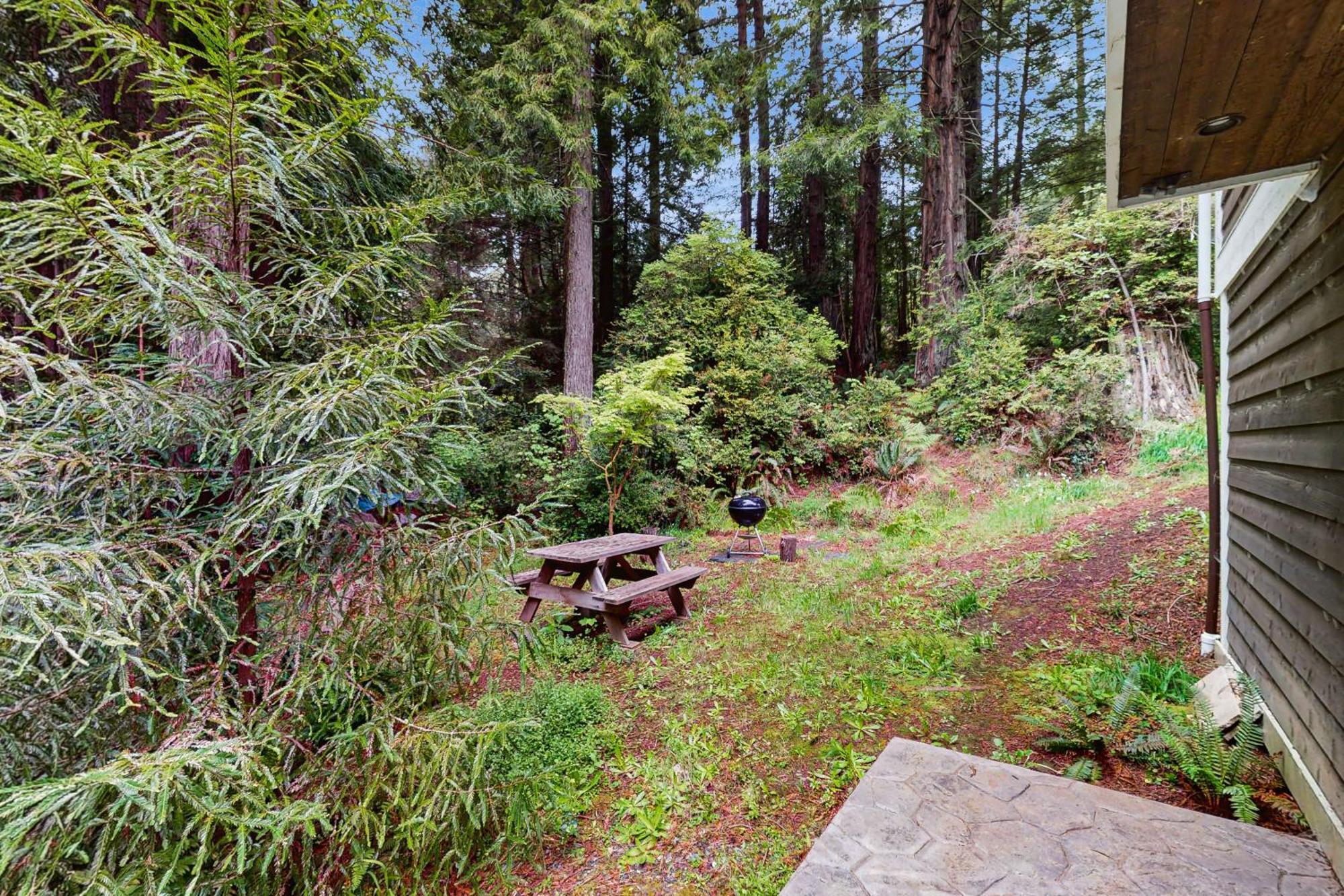 Serene Redwood Retreat Arcata Exteriör bild