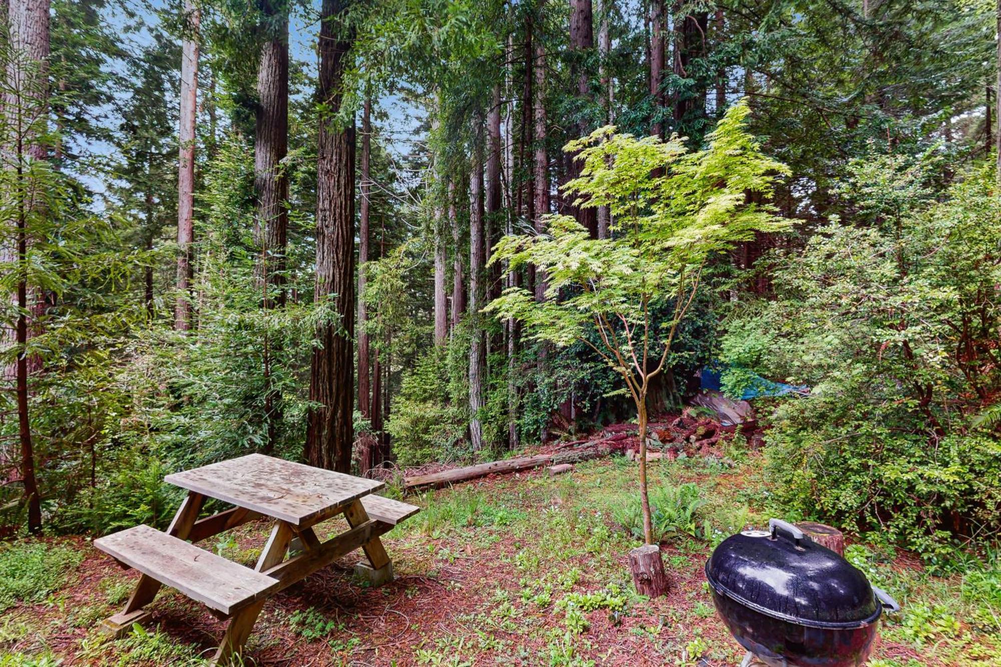 Serene Redwood Retreat Arcata Exteriör bild