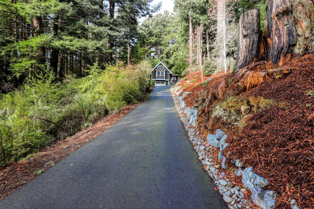 Serene Redwood Retreat Arcata Exteriör bild