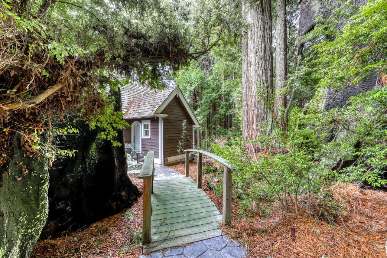 Serene Redwood Retreat Arcata Exteriör bild